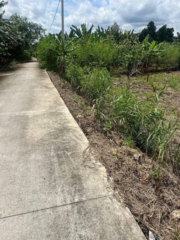 Đất nền chính chủ tại Khu phố 1, Phường 3, TX Cai Lậy - Giá chỉ 2.25 tỷ