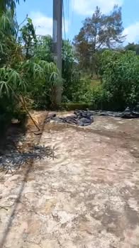 Đất nền xã Ea Tul, huyện Cư M'gar 530m² giá 900 triệu - Đầu tư tuyệt vời!