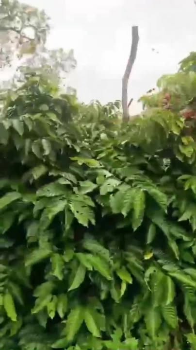 Đất nền Đắk Lắk 1ha giá 2.65 tỷ - Đầu tư sinh lời ngay!