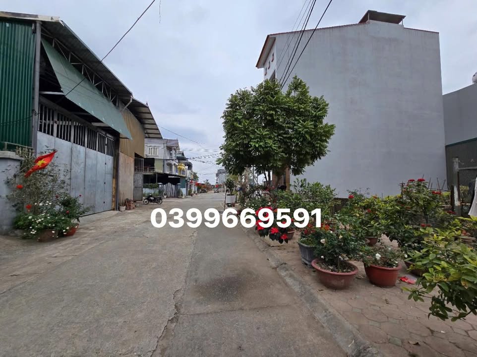 Đất Dục Tú Đông Anh 76.5m² - Sổ đỏ chính chủ, vị trí đắc địa!