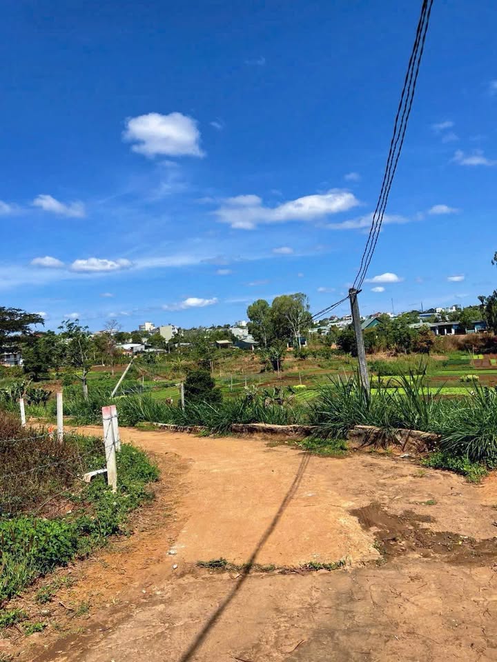 Đất thổ cư Cần bán nhanh tại Đặng Trần Côn, Pleiku 100m² - View đẹp, giá chỉ 700 triệu!