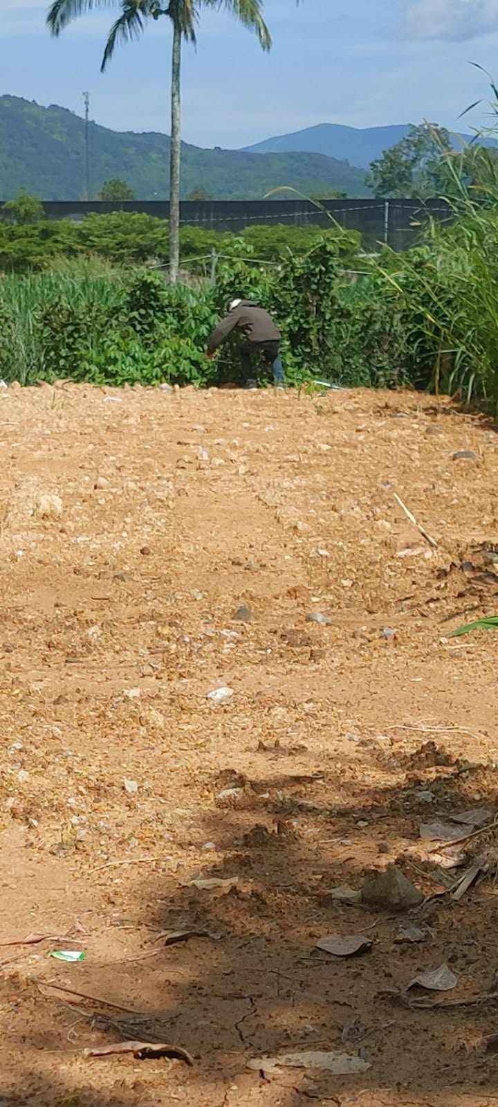 Đất thổ cư Phú Hội Đức Trọng 125m² - Giá thỏa thuận hấp dẫn!