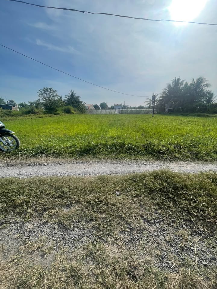 Đất nền xã Đức Lập, Đức Hòa 1368m² giá chỉ 3 tỷ - Đầu tư sinh lời ngay!