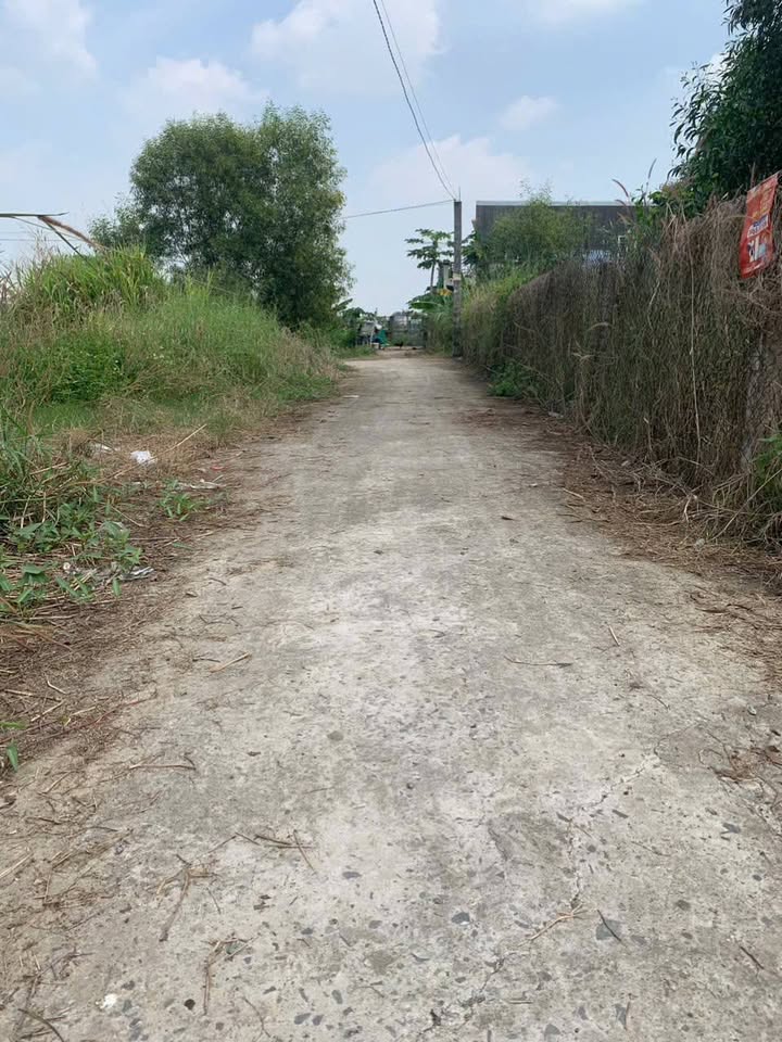 Đất thổ cư 100m² xã Mỹ Lộc, Cần Giuộc - Giá chỉ 699 triệu, bớt lộc cho khách thiện chí!