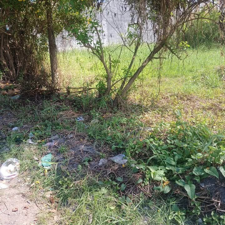 Đất nền mặt tiền Châu Thị Kim, An Vĩnh Ngãi, Tân An 138.6m² giá 2 tỷ - Đầu tư sinh lời ngay!