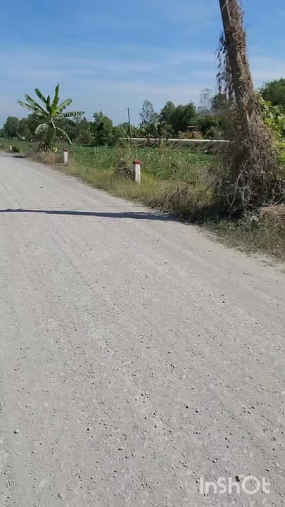 Đất nông nghiệp 7500m² tại Bình Hòa Tây, Mộc Hóa - Giá 1.25 tỷ, Cơ hội đầu tư hấp dẫn!