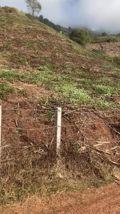 Đất nông nghiệp 2ha tại Chiềng Sơn, Mộc Châu - Cho thuê giá thỏa thuận hấp dẫn!