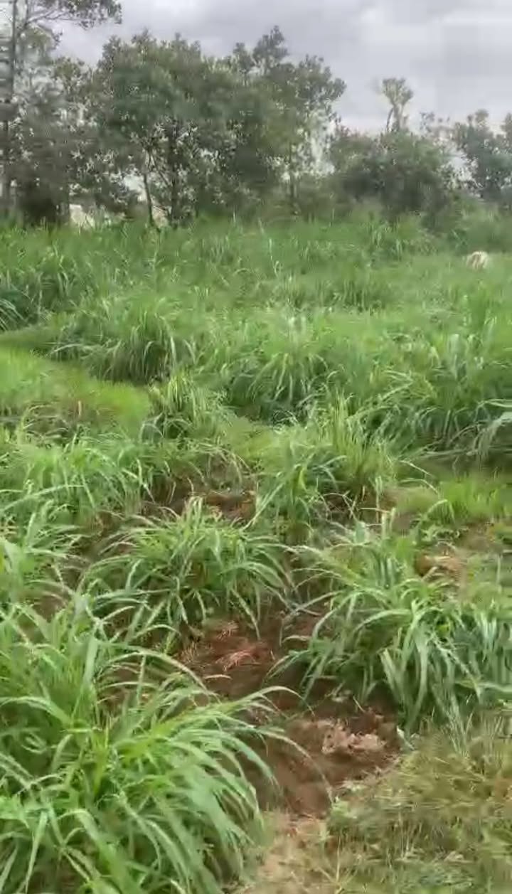 Đất vườn Phước An Tuy Phước 7200m² giá chỉ 200 triệu - Sổ đỏ chính chủ, gần khu dân cư!