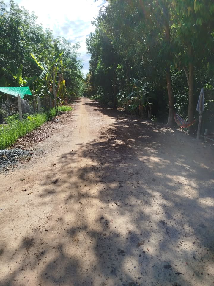 Đất nông nghiệp 5000m² tại Thạnh Tây, Tân Biên - Giá chỉ 700 triệu VND!