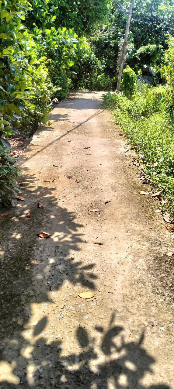 Nhà đẹp Long Thới Chợ Lách 390m² giá chỉ 580 triệu - Sẵn sàng dọn vào ở ngay!