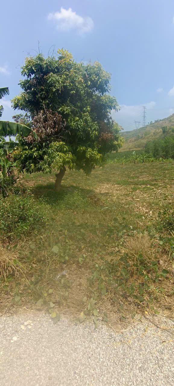 Đất nền liền kề xã Kon Braih, Quảng Ngãi 422m² giá 1.2 tỷ - Chính chủ thương lượng!