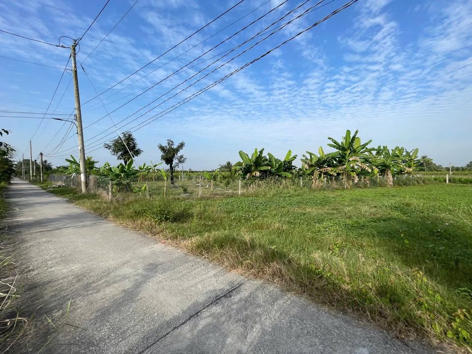 Đất thổ cư 170m² xã Tầm Vu, Châu Thành, Tây Ninh giá chỉ 450 triệu - Đầu tư sinh lời ngay!