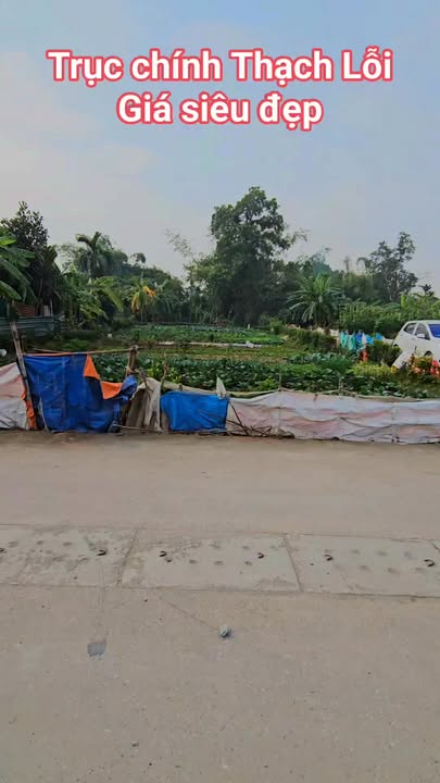 Đất nền Thạch Lỗi, Thanh Xuân 99m² giá tốt - Cơ hội đầu tư hấp dẫn!