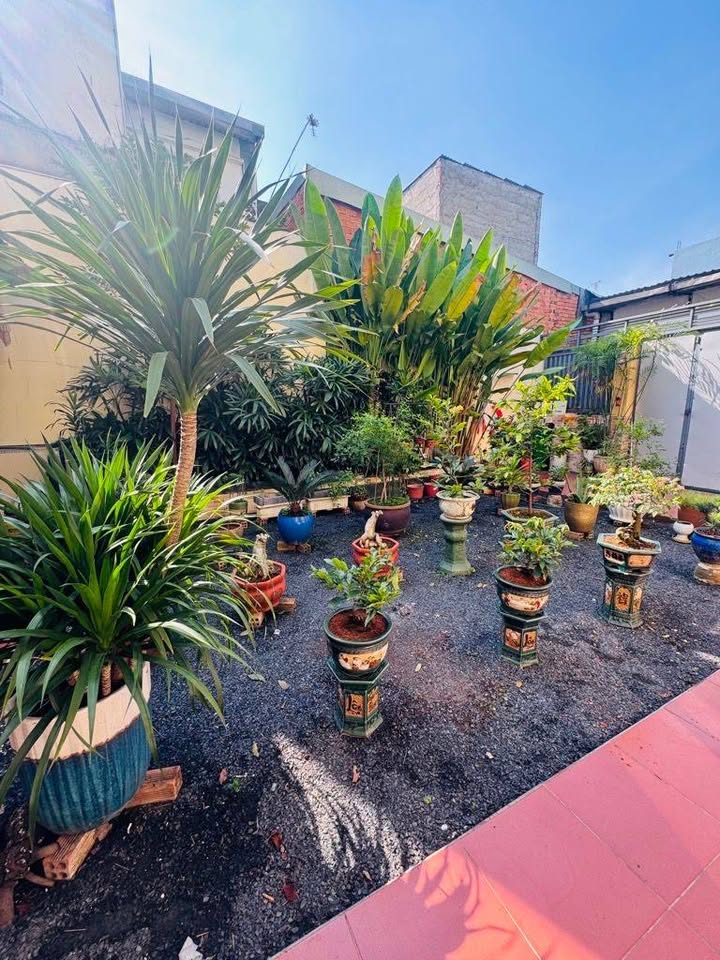 Đất thổ cư Thạnh Xuân 13, Quận 12 - Diện tích 180m² chỉ 4 tỷ - Sẵn sàng đầu tư!