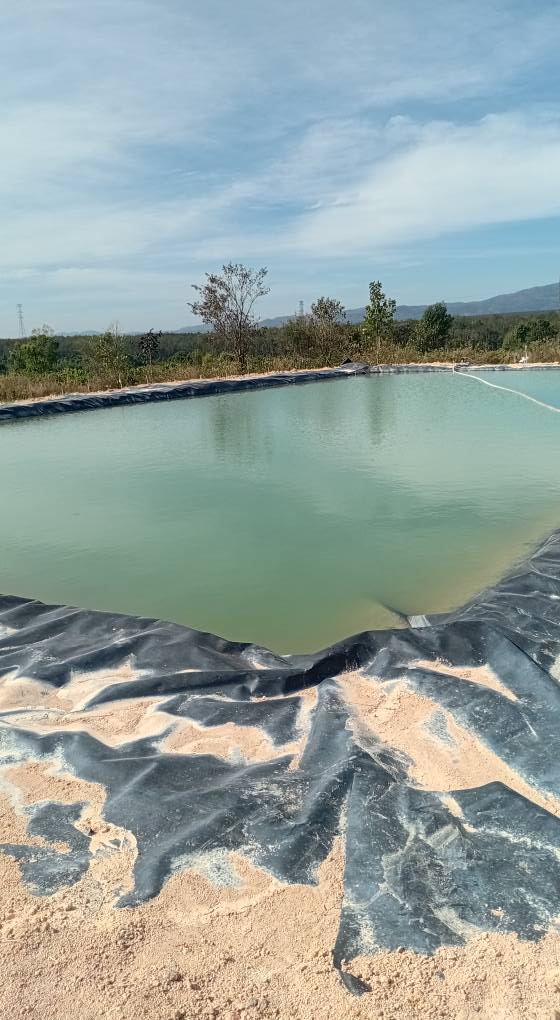 Bán Farm Cà Phê Tại Nghĩa Hòa, Tư Nghĩa 14,000m² - Kinh Doanh Sinh Lời Ngay!