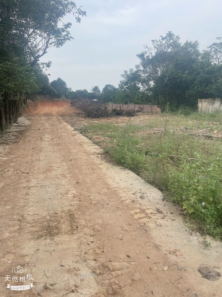 Đất thổ cư Việt Tiến, Việt Yên 766m² chỉ 500 triệu - Cơ hội đầu tư tuyệt vời!