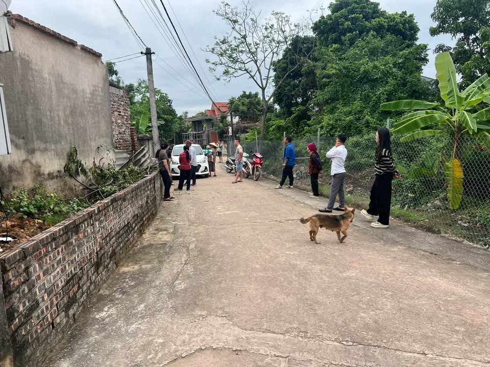 Đất nền Lan Mẫu Lục Nam 140m² giá 800 triệu - Cơ hội đầu tư hấp dẫn!