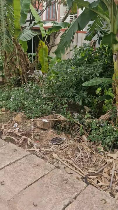 Đất nền Phượng Sơn 90m² giá 2 tỷ - Tiềm năng kinh doanh vượt trội!