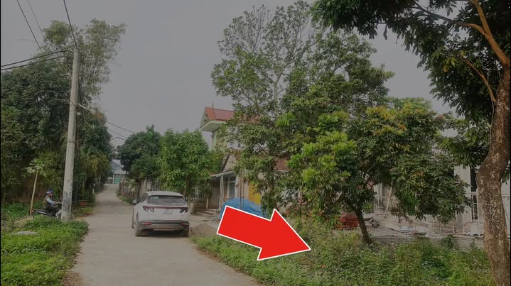 Đất nền Thanh Hương, Thanh Liêm, Hà Nam 110m² giá 1.3 tỷ - Đầu tư sinh lời ngay!