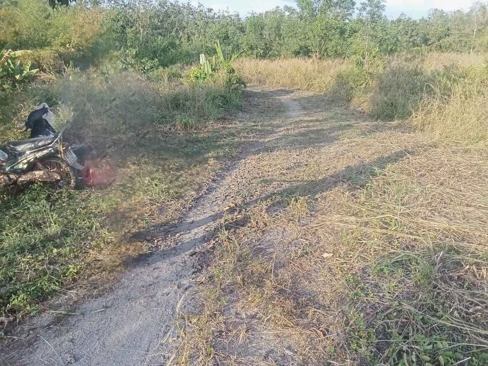 Đất nền Tân Hưng Đồng Phú 1000m² giá chỉ 200 triệu - Cơ hội đầu tư hấp dẫn!