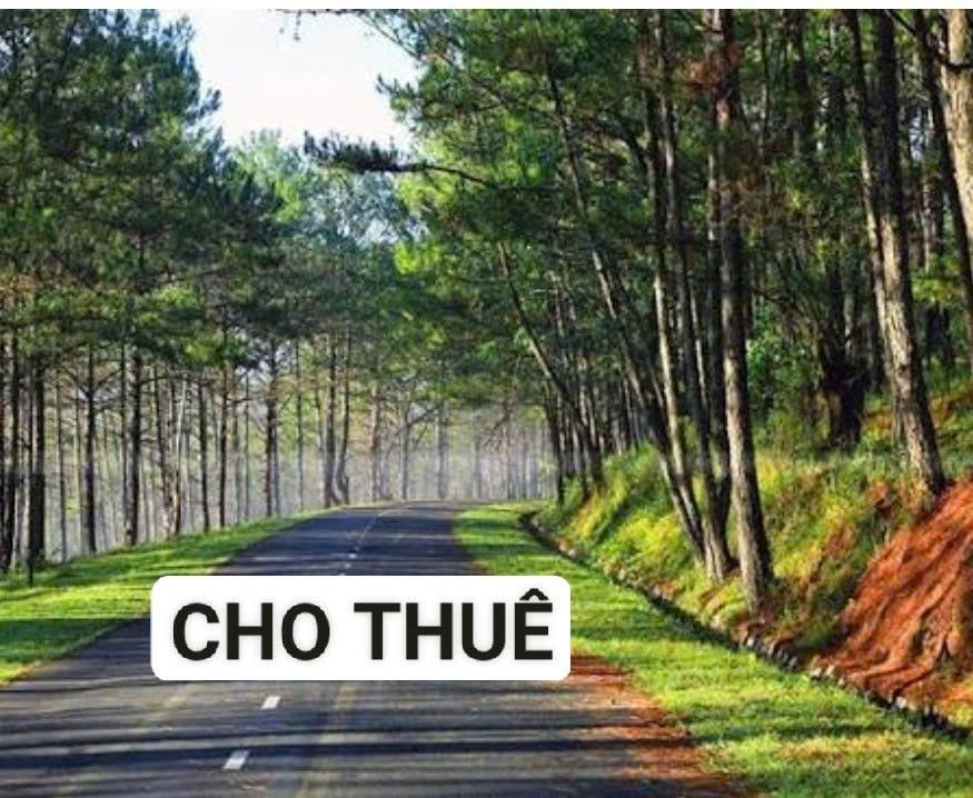 Nhà nghỉ cho thuê 4 tầng mặt tiền Nguyễn Huệ - 500m² - Nội thất đầy đủ!