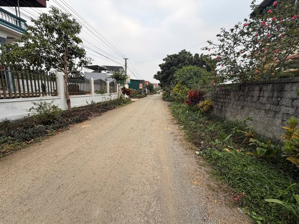 Đất thổ cư Xóm Tích, Yên Trị, Yên Thủy 115m² giá 400 triệu - Cơ hội vàng cho đầu tư!