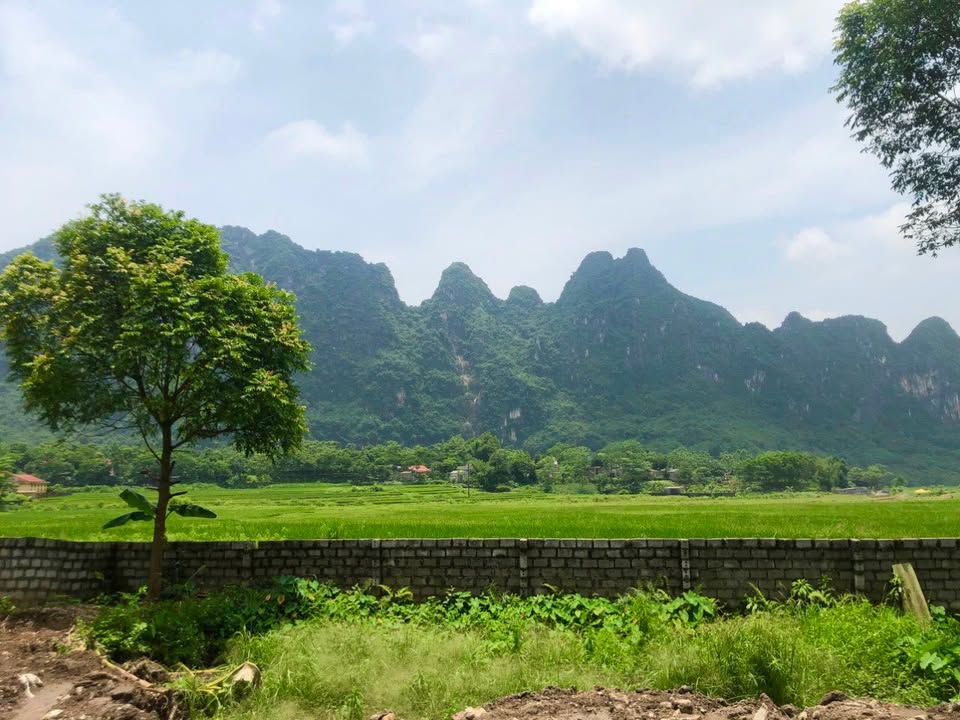 Đất nền Liên Sơn - Lương Sơn - Hoà Bình 1.176m² giá thỏa thuận - Cơ hội đầu tư tuyệt vời!