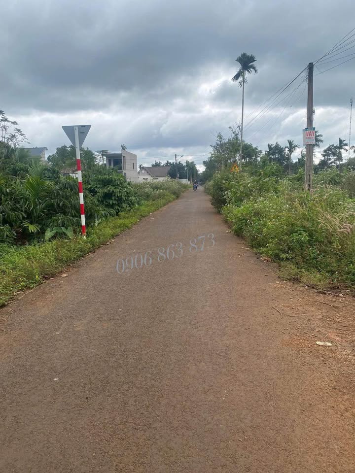 Lô đất Tân Lập, Buôn Ma Thuột 115m² giá 890 triệu - Đường nhựa thông thoáng, gần sân bay!