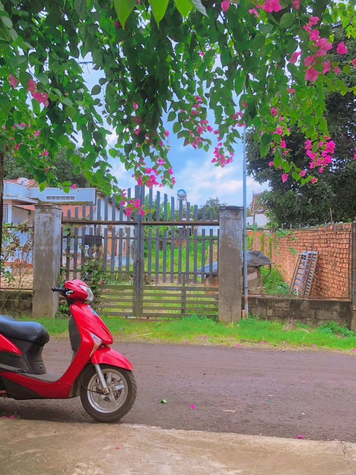 Đất thổ cư Cư Kuin 360m² giá 11.04 tỷ - Vị trí đắc địa gần QL27!