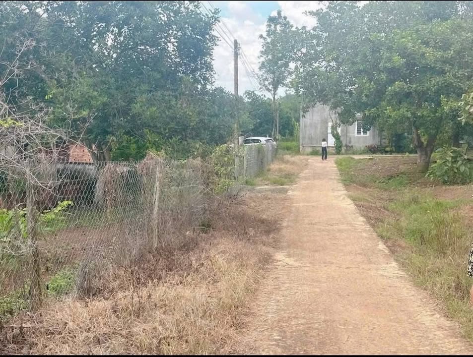 Đất vườn An Khương Hớn Quản 56m² giá chỉ 300 triệu - Đầu tư sinh lời cao!