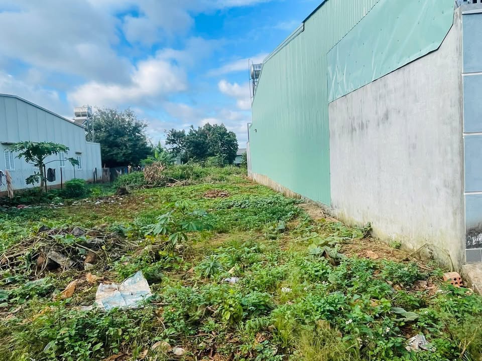 Đất nền An Phú, Pleiku 120m² giá 500 triệu - Hướng nam mát mẻ, khu dân cư đông đúc!