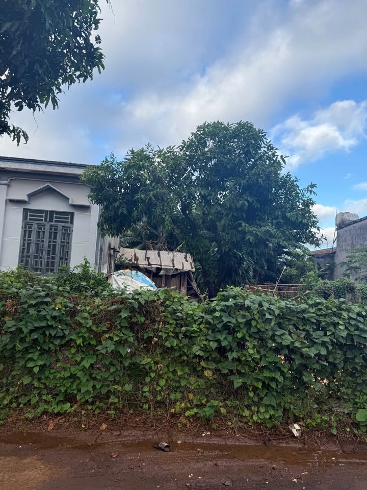 Đất nền Ea Pôk 130m² giá 990 triệu - Đầu tư sinh lời nhanh chóng!