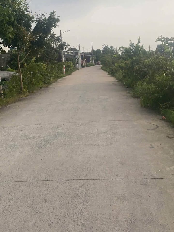 Đất trồng cây lâu năm 3000m² Vĩnh Lộc A chỉ 15 tỷ - Đường bê tông 7m