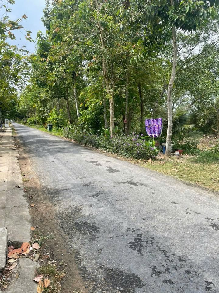 Nhà thô tại Đông Thành, Bình Minh 100m² giá 550 triệu - Cơ hội đầu tư tuyệt vời!