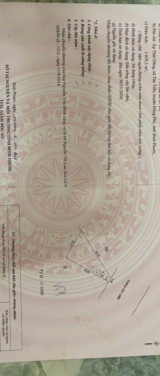 Đất nền mặt tiền đường Tuyến Số 3, Đồng Phú, Bình Phước - Diện tích 1000m² chỉ 1.6 tỷ!