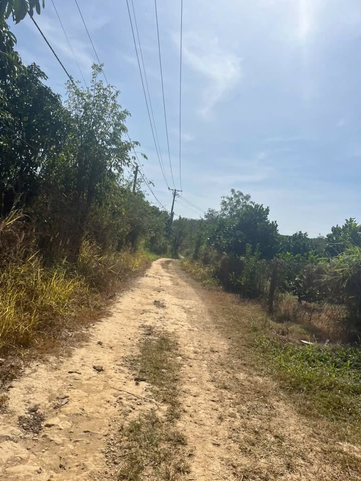 Đất La Ngà Định Quán 11000m² giá 4.68 tỷ - Cơ hội đầu tư hấp dẫn!