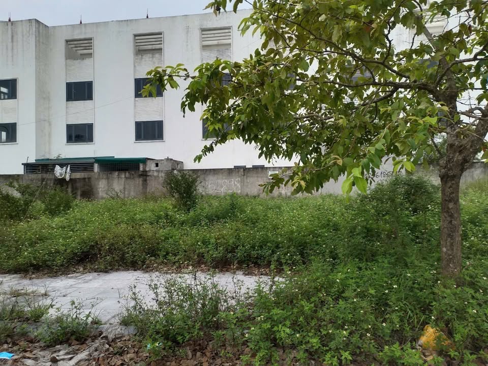 Đất nền khu dân cư Hải Hà, Tân Phong 85m² - Tiềm năng đầu tư sinh lời cao!