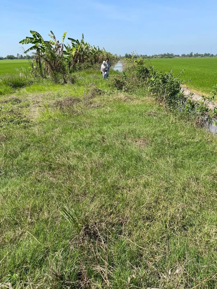 Đất nền Cần Thơ 5100m² giá 1.15 tỷ - Cơ hội đầu tư hấp dẫn!