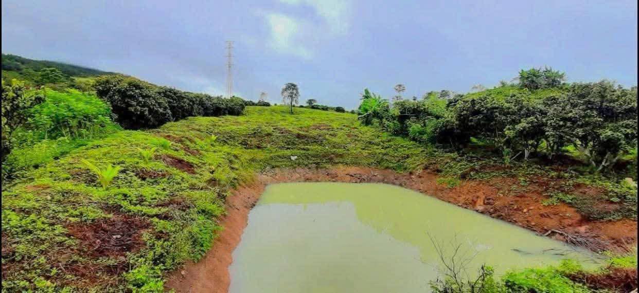 Đất nông nghiệp 14,4 sào tại Di Linh, Lâm Đồng - Chỉ 950 triệu, cơ hội đầu tư tuyệt vời!