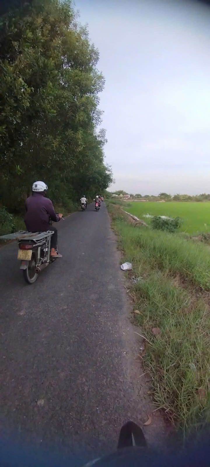 Đất mặt tiền đường An Thành Phú Đức, Long Hồ 44000m² giá 1.1 tỷ - Cơ hội đầu tư tuyệt vời!