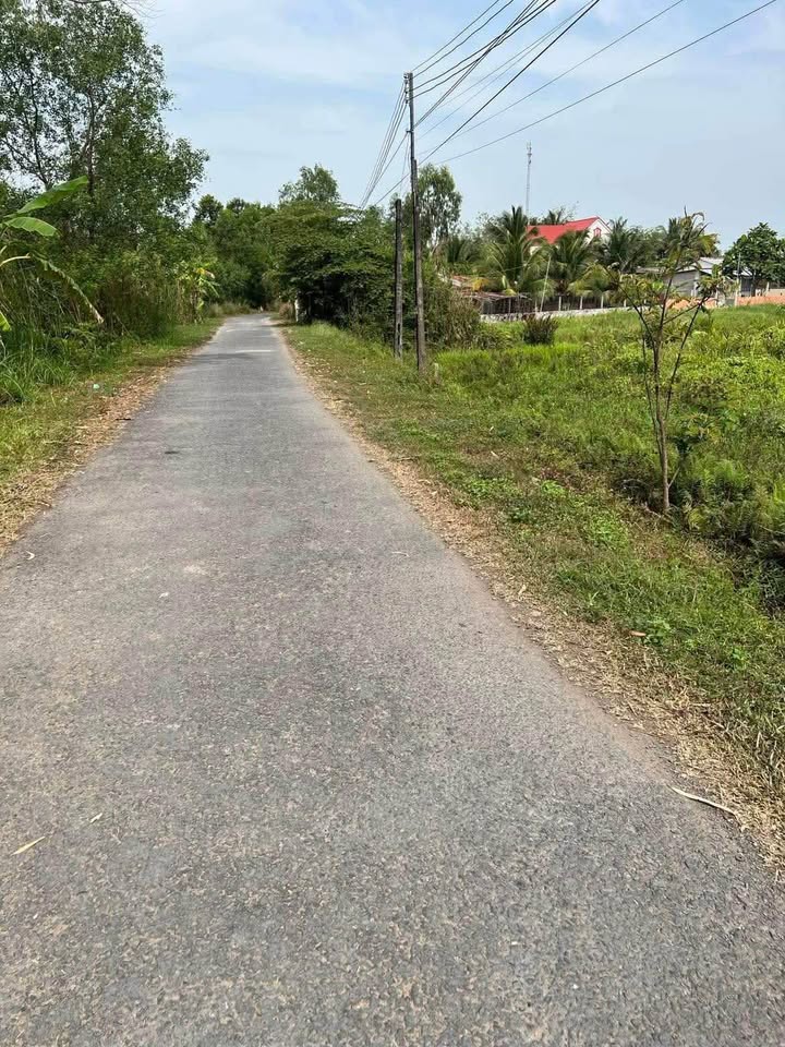 Đất vườn 2.726m² Tân Hạnh, Vĩnh Long - Tiềm năng đầu tư lớn!