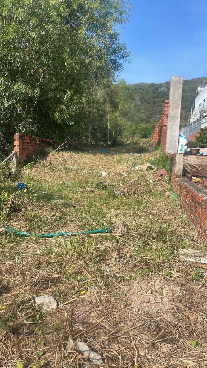 Bán đất Hải Lâm, Bà Rịa - Vũng Tàu 237.5m² - Giá tốt, vị trí thuận lợi!