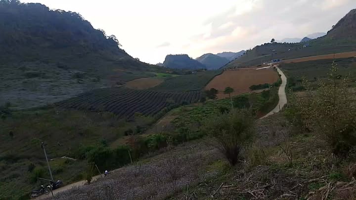 Đất Farm Vân Hồ 2800m² giá thỏa thuận - View siêu đẹp, khí hậu mát mẻ!