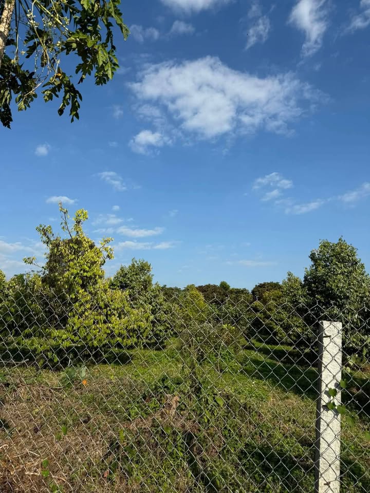 Đất nền Quảng Hiệp 1,1 sào giá 359 triệu - Đầu tư sinh lời ngay!