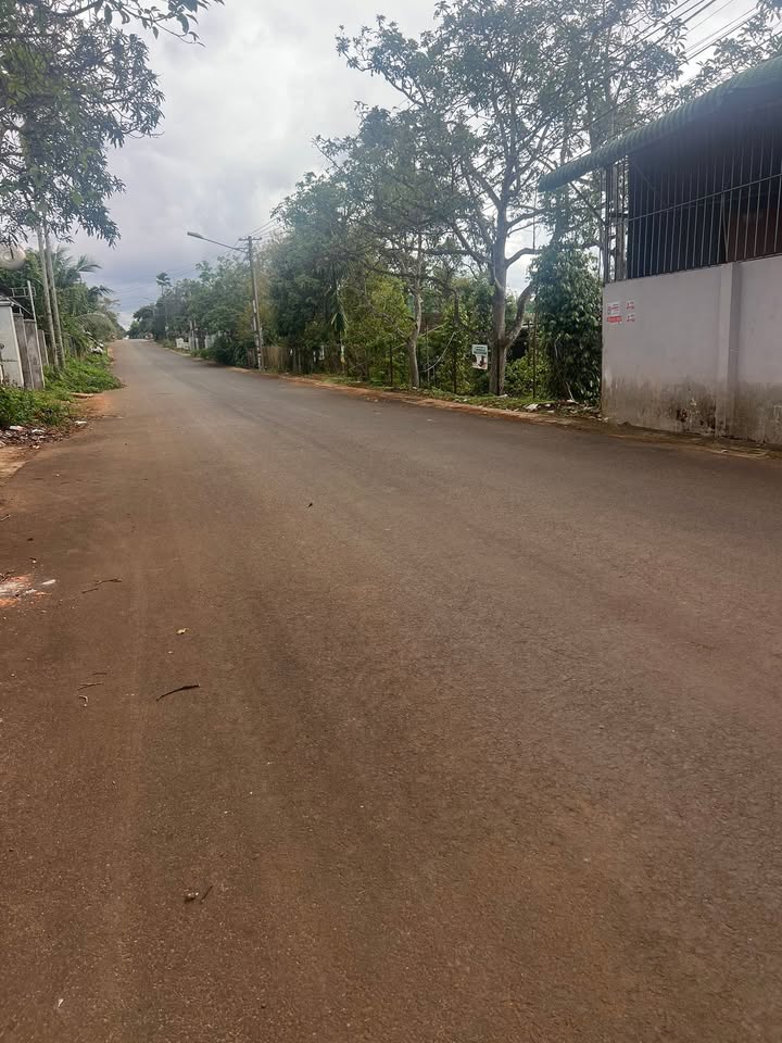 Đất nền Đắk Mil 270m² giá 3.2 tỷ - Mặt tiền đường nhựa kinh doanh thuận lợi!