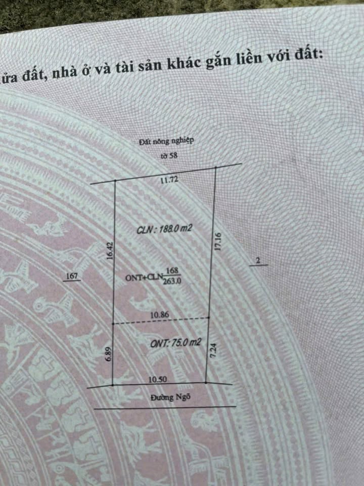 Đất nền Thượng Lạn, Việt Yên 260m² - Giá thỏa thuận, vị trí đắc địa gần khu công nghiệp!