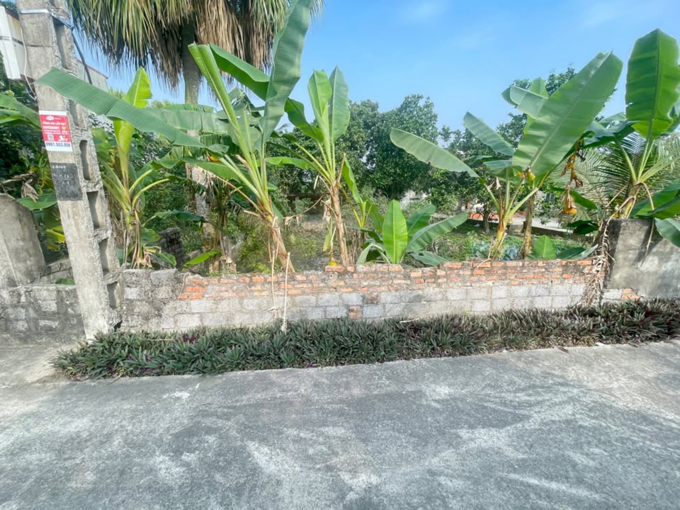 Đất thổ cư 200m² tại thôn Ninh Phạm, Quảng Ninh chỉ 600 triệu - Đường ô tô vào thoải mái!