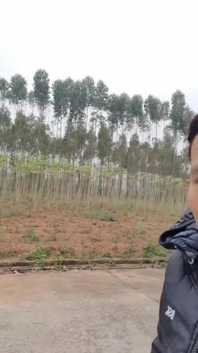 Đất nền đẹp Hy Cương 300m² giá 3 tỷ - Đường Nguyễn Tất Thành tiện lợi!