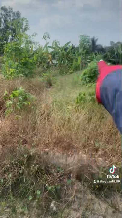 Đất nền Bình An Long Thành 300m² giá 1 tỷ - Full thổ cư, đầu tư lý tưởng!