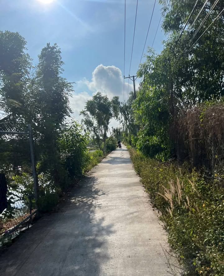 Lô đất vườn Đa Phước, 200m² giá 1.1 tỷ - Sổ hồng riêng, bán gấp!